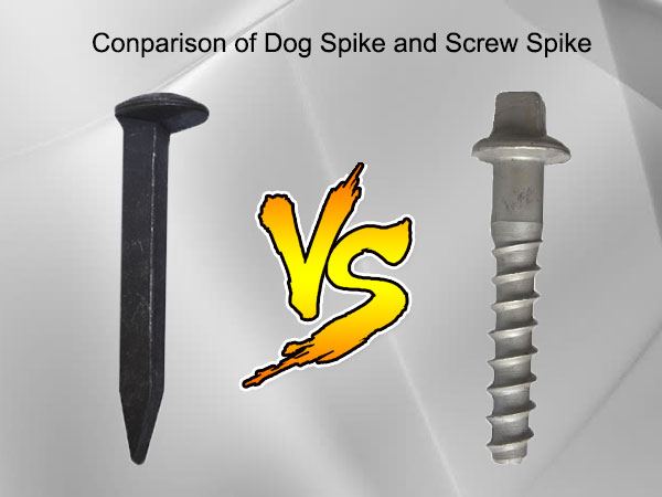 comparison of dog spike and screw spike