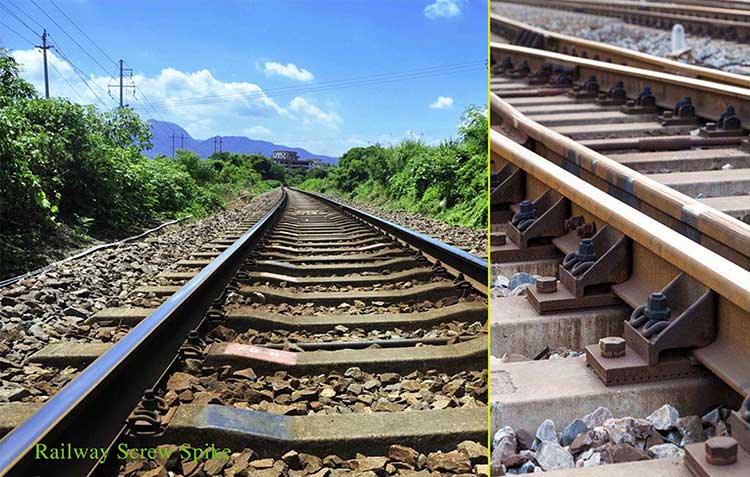 rail screw spike in rail track